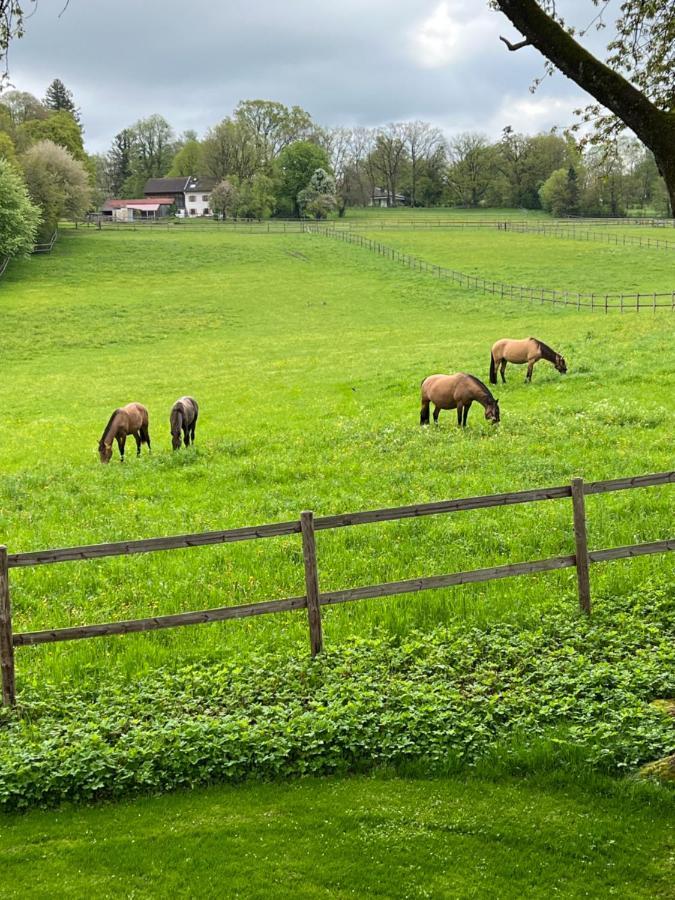 Herrenhaus - Starnberger See - Ammerland Münsing Kültér fotó