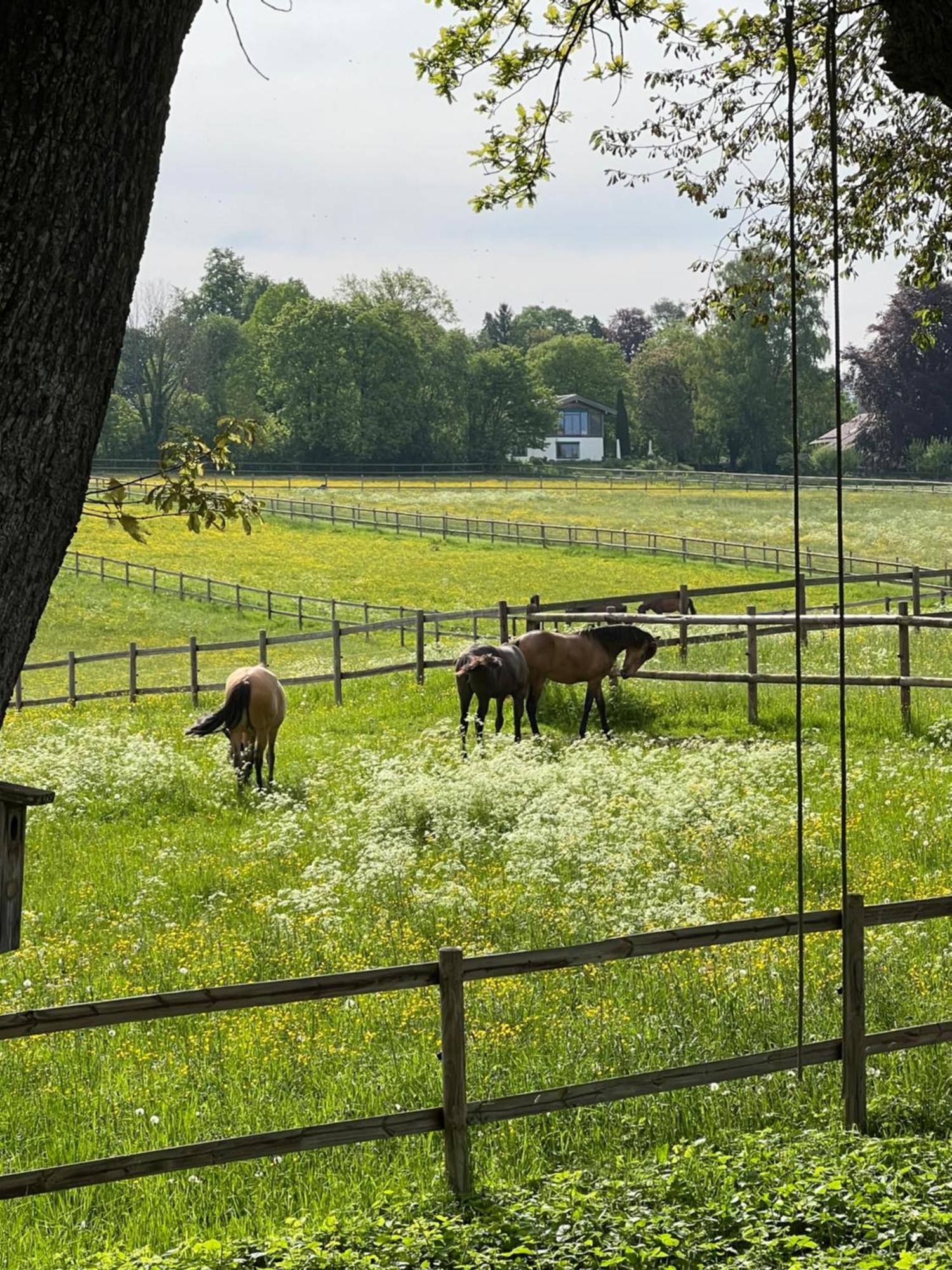 Herrenhaus - Starnberger See - Ammerland Münsing Kültér fotó