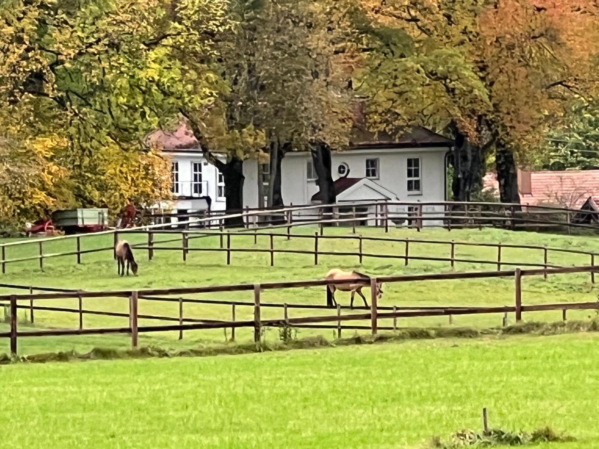 Herrenhaus - Starnberger See - Ammerland Münsing Kültér fotó