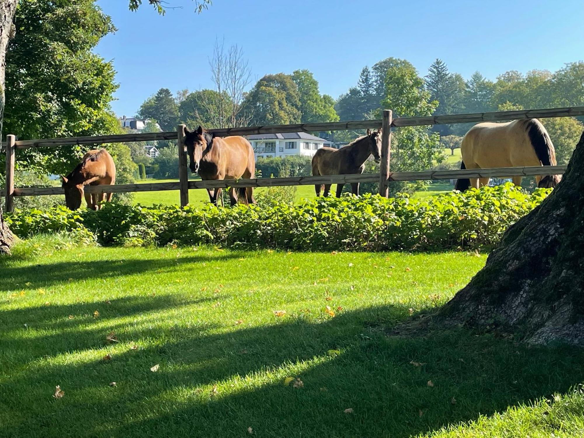 Herrenhaus - Starnberger See - Ammerland Münsing Kültér fotó
